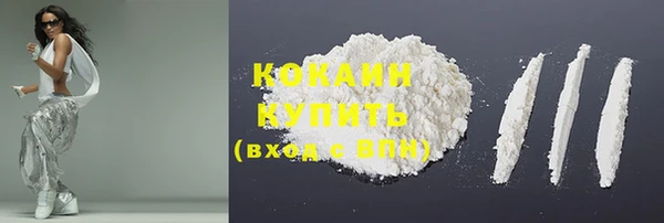 дмт Заводоуковск
