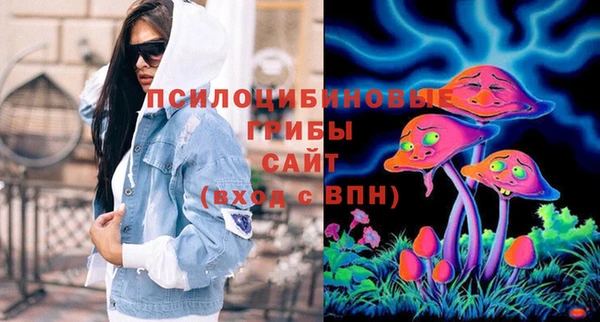 a pvp Аша