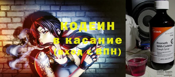 дмт Заводоуковск
