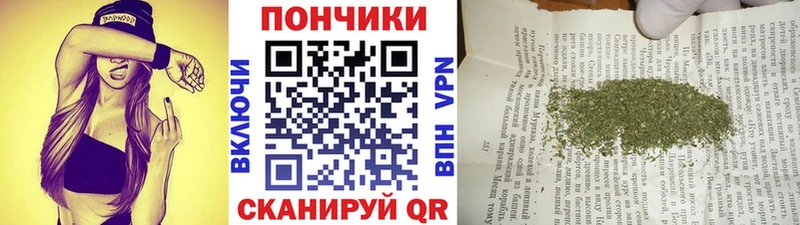 Бошки марихуана планчик  дарнет шоп  Западная Двина 
